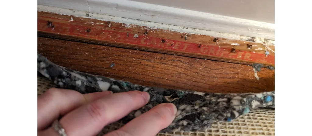  Remove Carpet