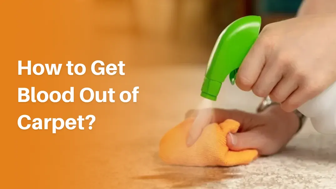 Get Blood Out of Carpet