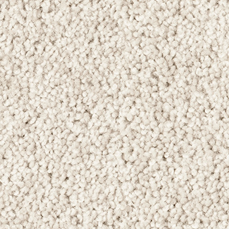 wool Cut Pile